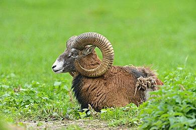 《巫师3》次世代实体版发售 新补丁即将上线